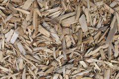 biomass boilers Druid