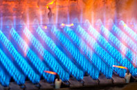 Druid gas fired boilers